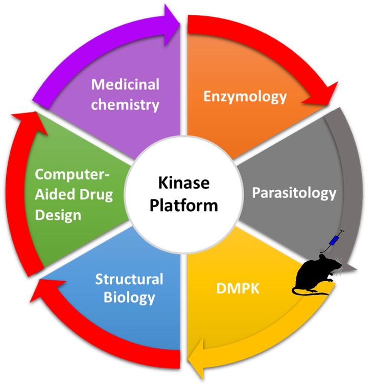 Kinase Platform