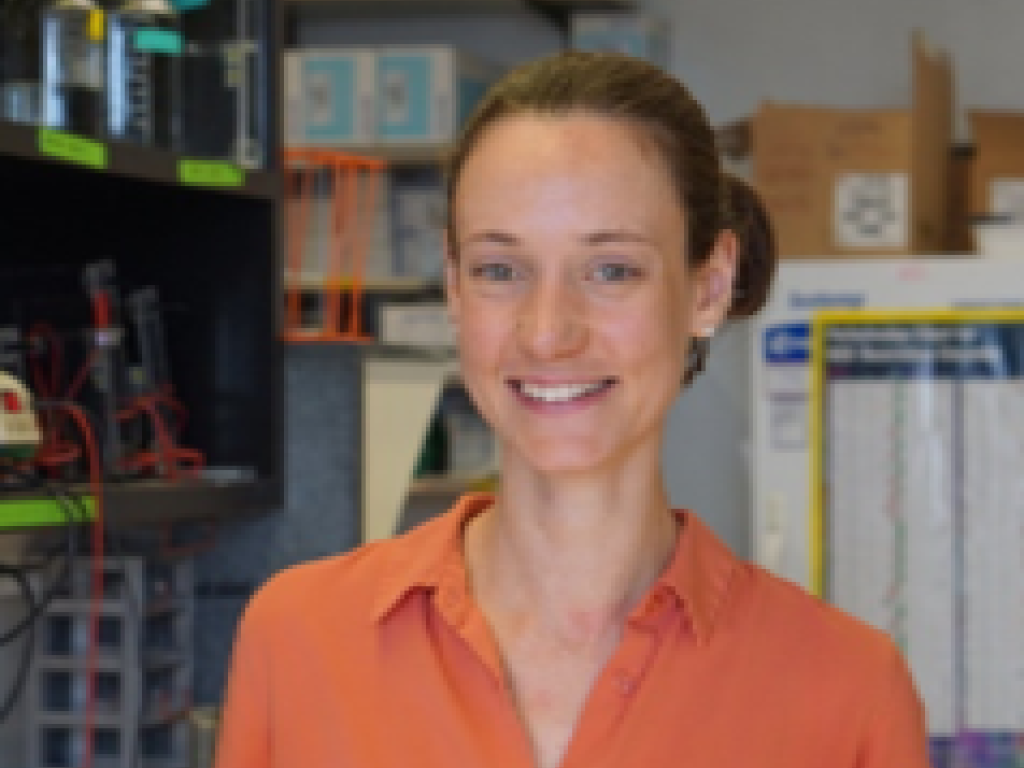 Dr Kathryn Wicht Dr Kathryn Wicht